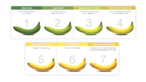 freshpoint-produce-banana