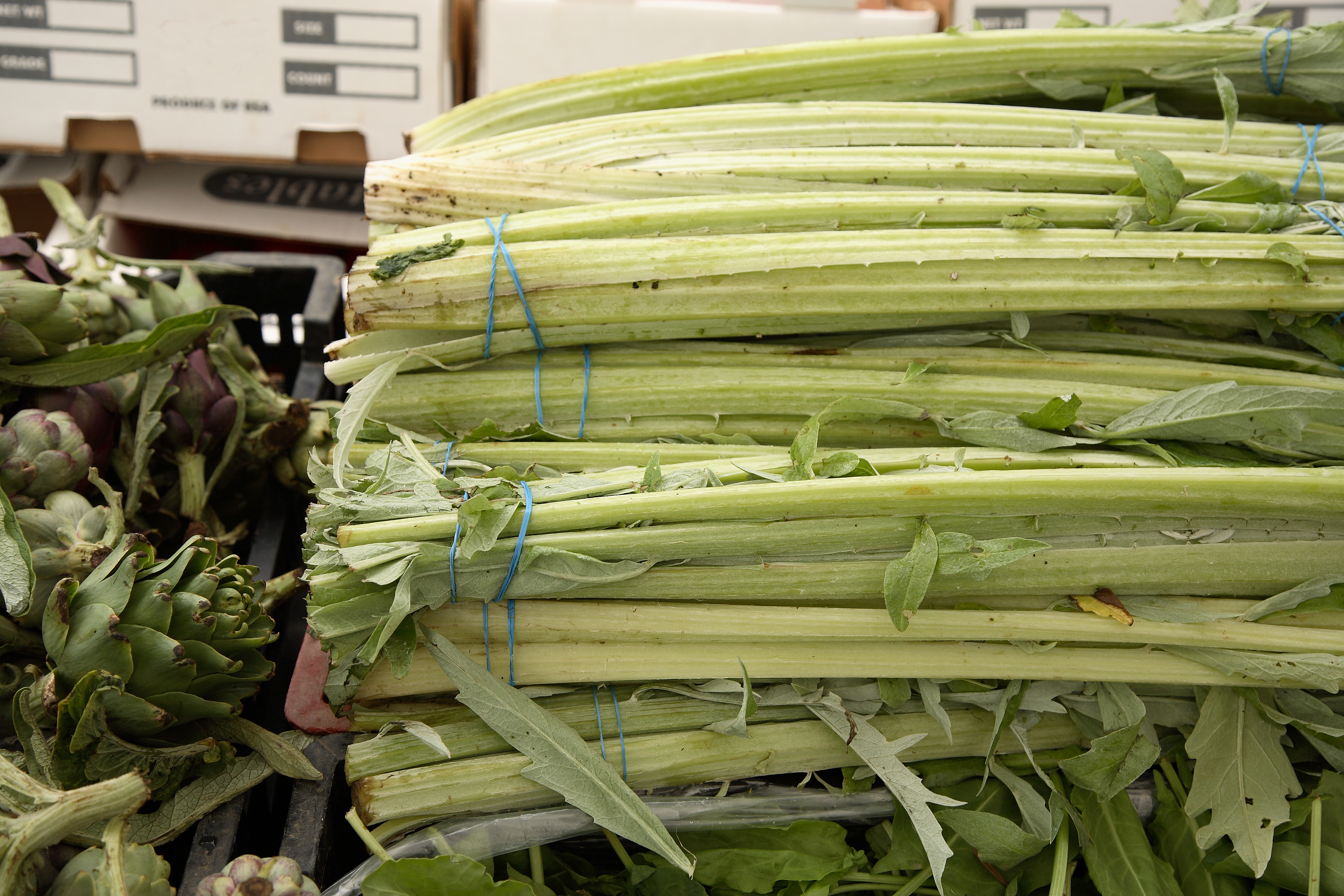 artichokes-cardoon