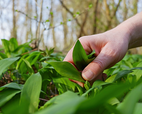 freshpoint-produce-ramps