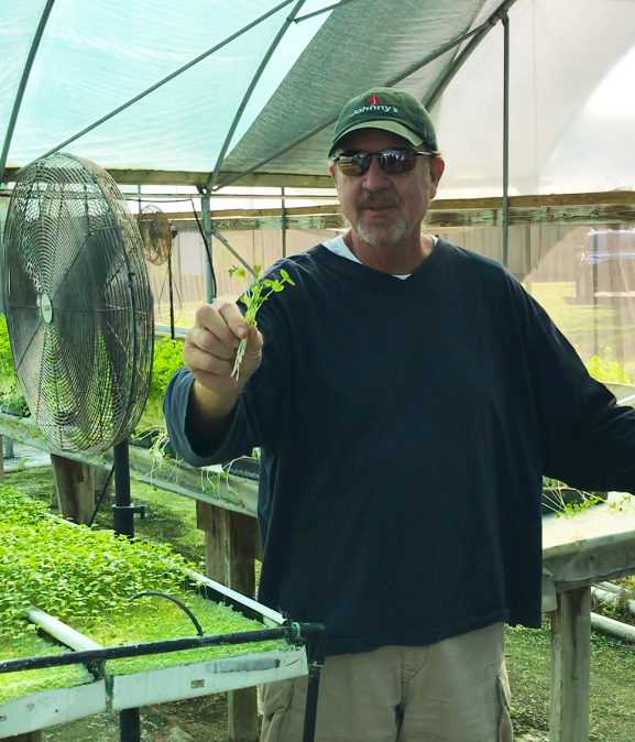 freshpoint produce peas shoots and tendrils cahaba club 