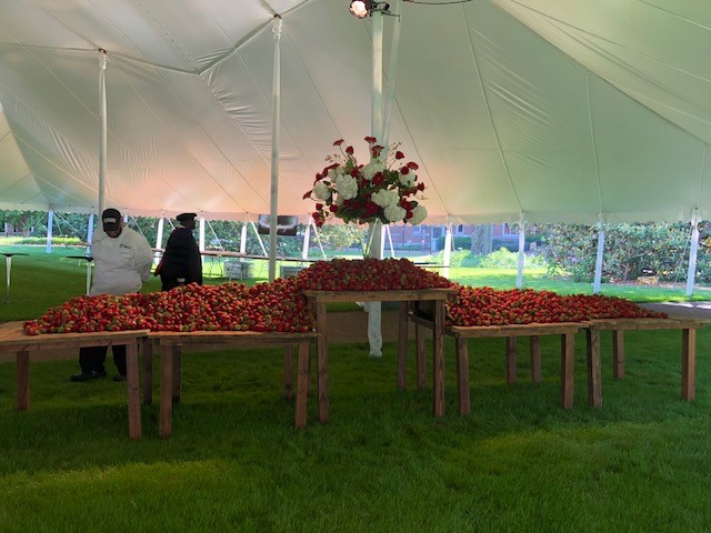 strawberries and champagne freshpoint vanderbilt university 5