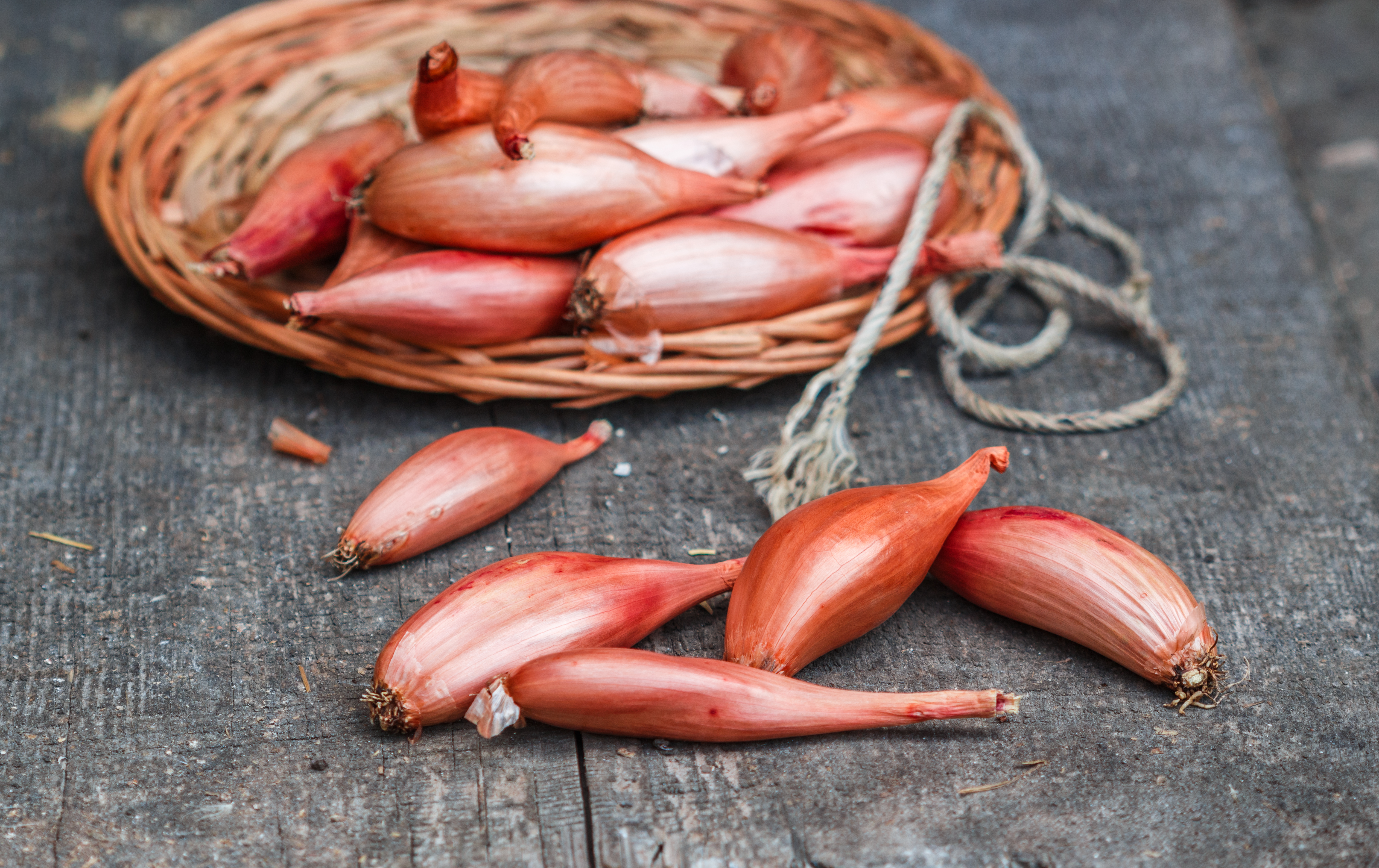 What Is the Difference Between Shallots and Onions? Learn How to