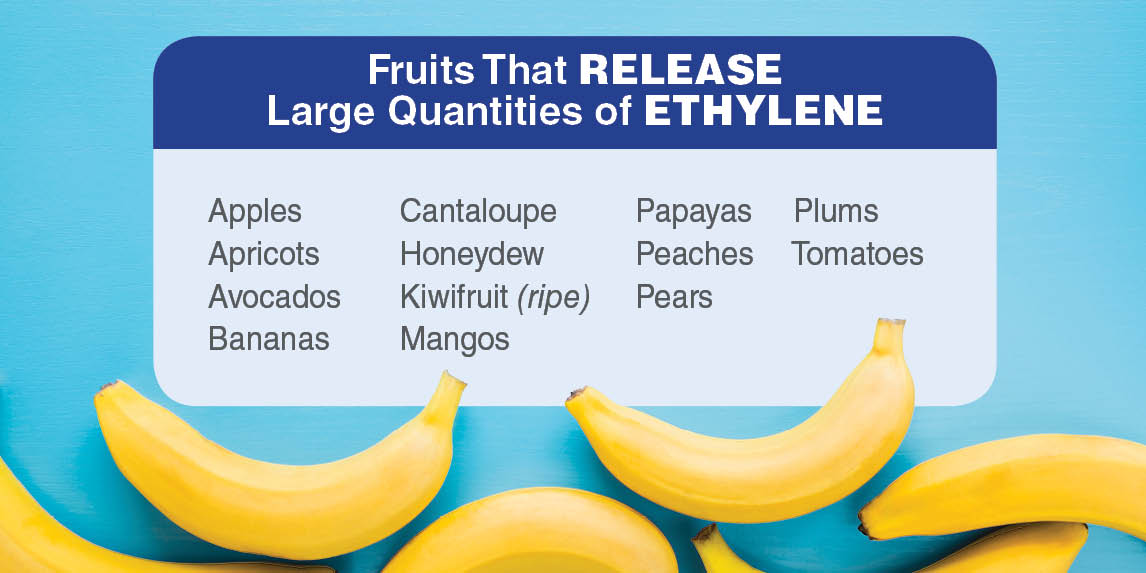 https://www.freshpoint.com/wp-content/uploads/2019/04/freshpoint-produce-101-banana-ethylene-chart.jpg