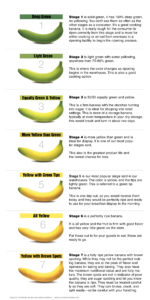 freshpoint-produce-101-banana-ripening-chart