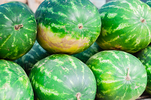 Produce-101-melons