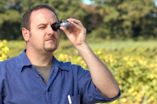 A man looking at the readout on the refractometer. 