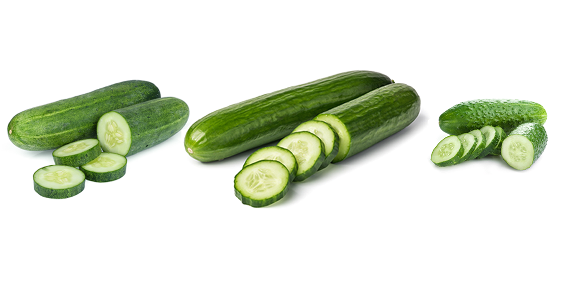 produce 101 cucumber types