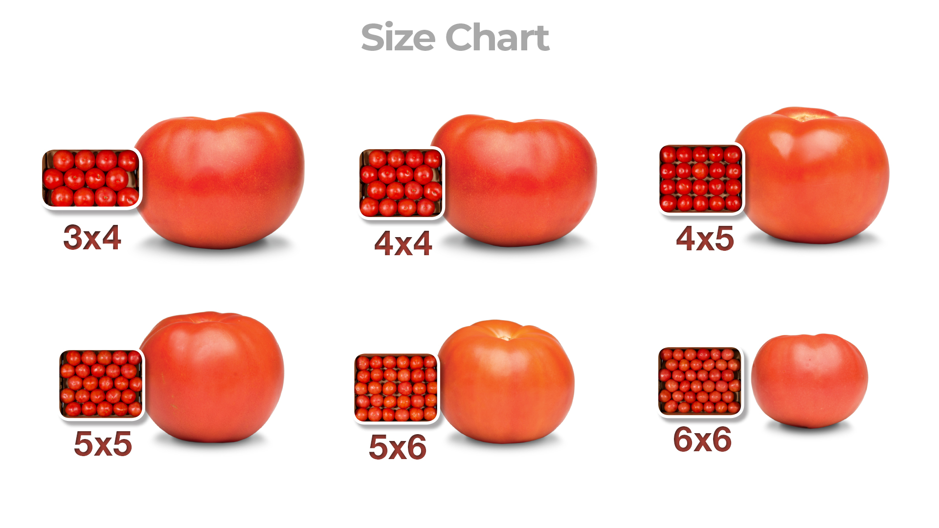 freshpoint produce 101 tomatoes size chart