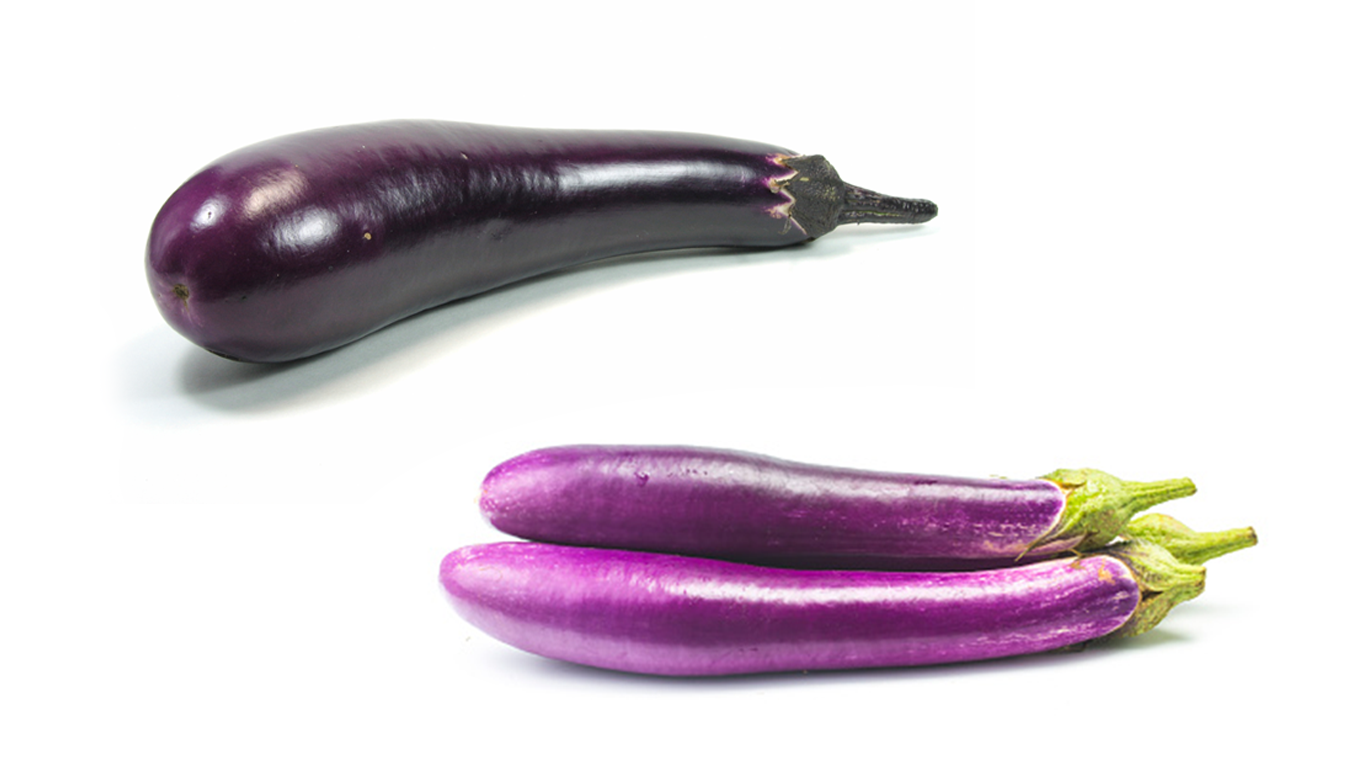 freshpoint types of eggplant chinese japanese