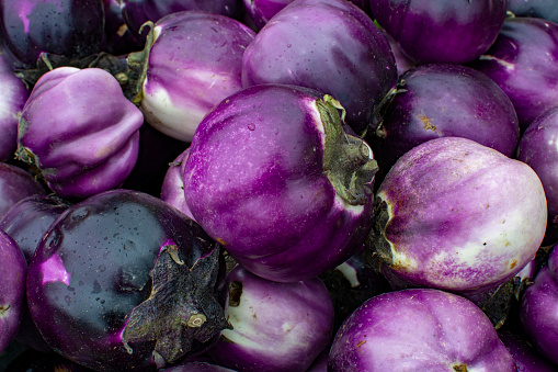 freshpoint types of eggplant sicilian