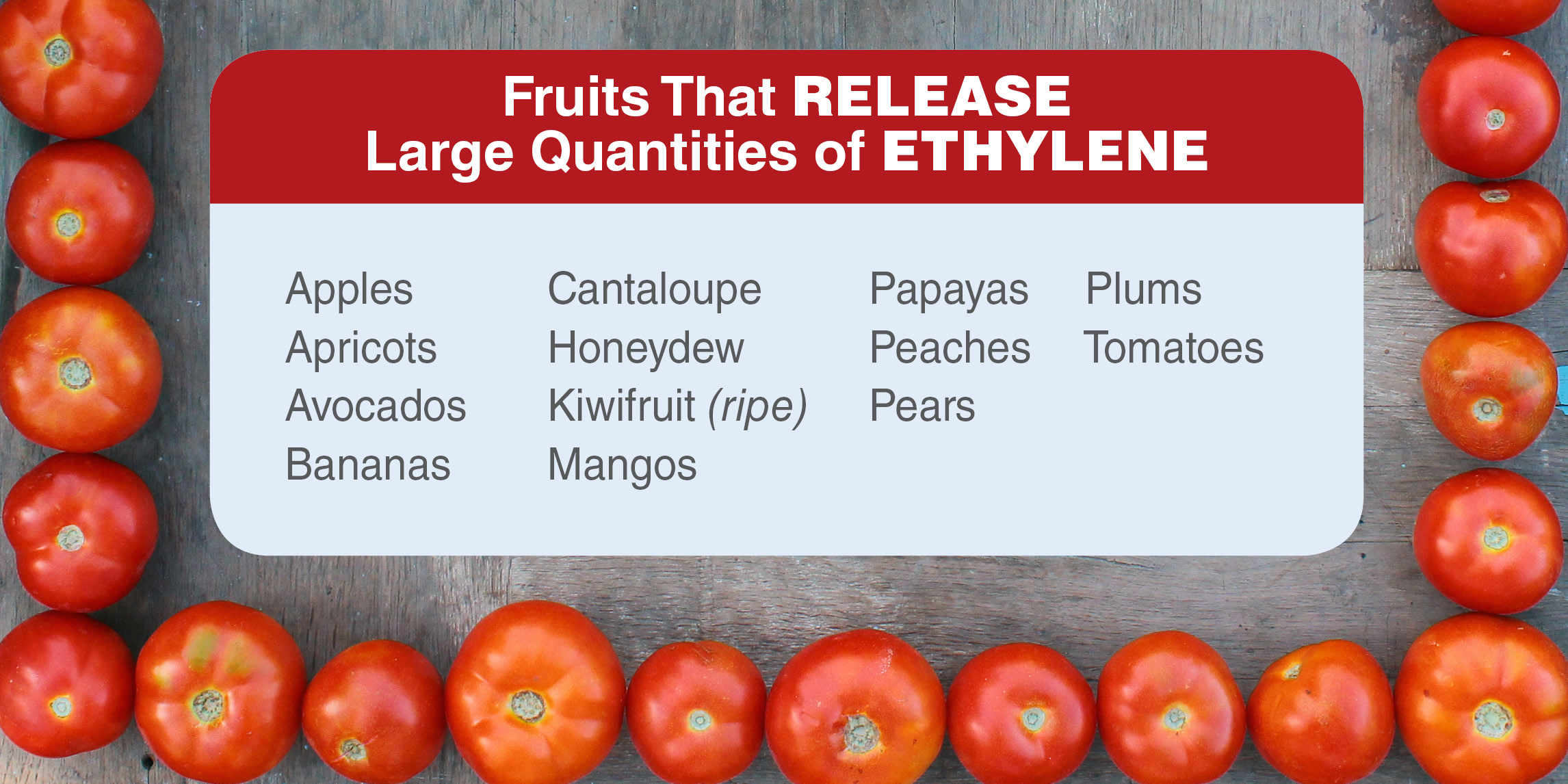 FreshPoint produce 101 tomatoes