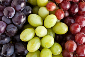 freshpoint-produce-101-grapes