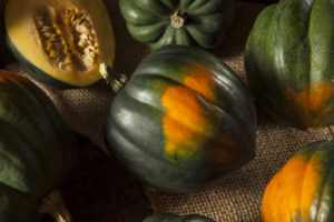 Freshpoint-produce-101-winter-squash-acorn