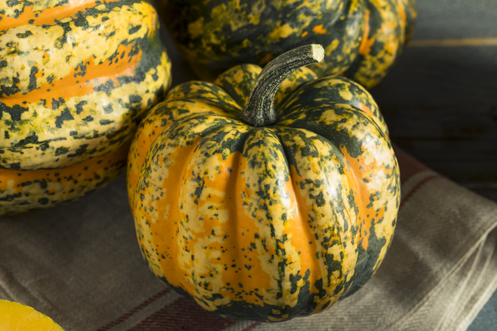 Freshpoint-produce-101-squash