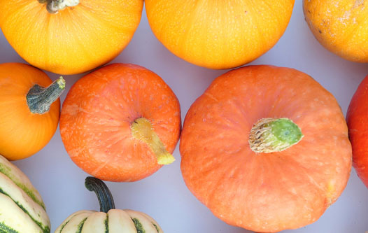 freshpoint-green-stem-squash