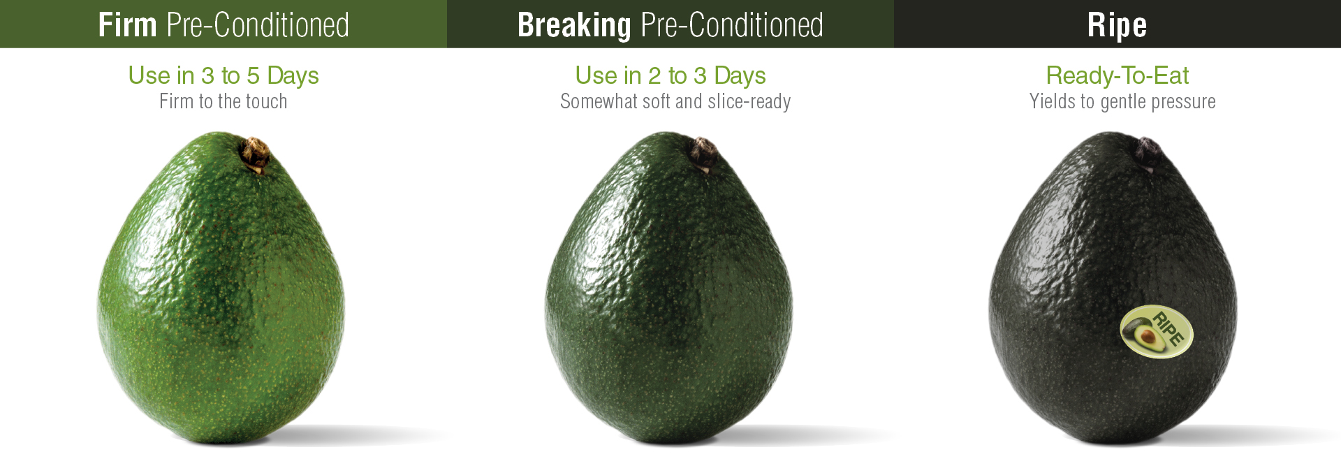 freshpoint produce 101 avocado ripening 
