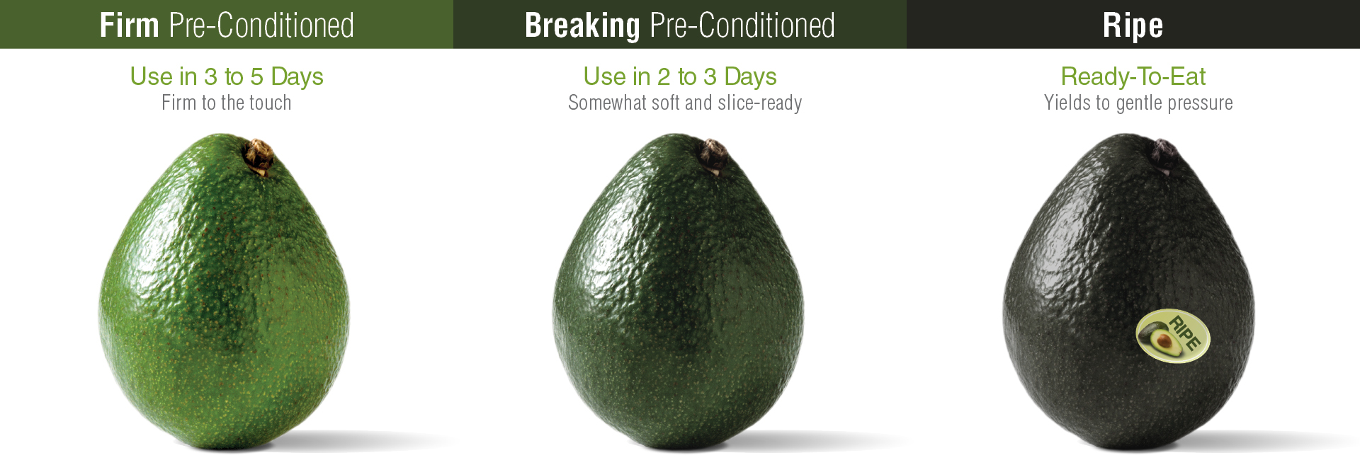 FreshPoint Produce 101 Avocado