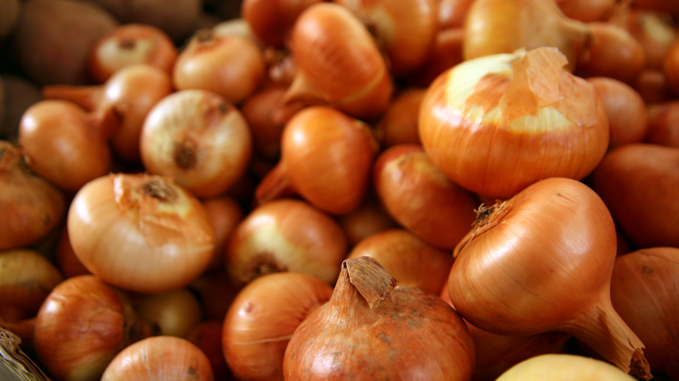 FreshPoint  What's the difference between a shallot and an onion?