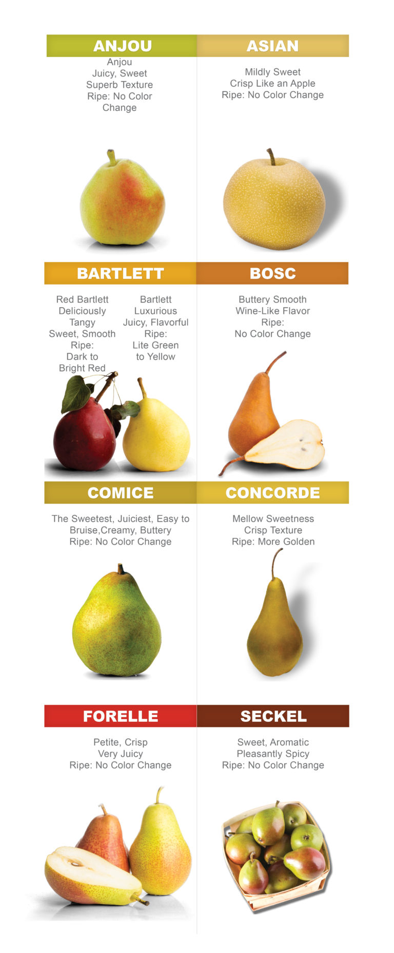 FreshPoint | Freshpoint-produce-101-pears-flavor-chart