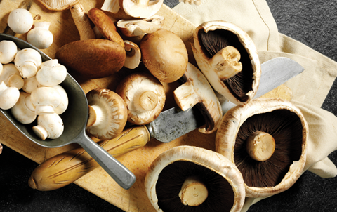 freshpoint produce 101 mushrooms crimini portabello white mushrooms