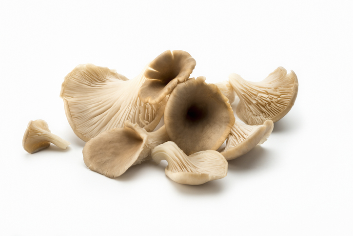 freshpoint-produce-oyster-mushrooms