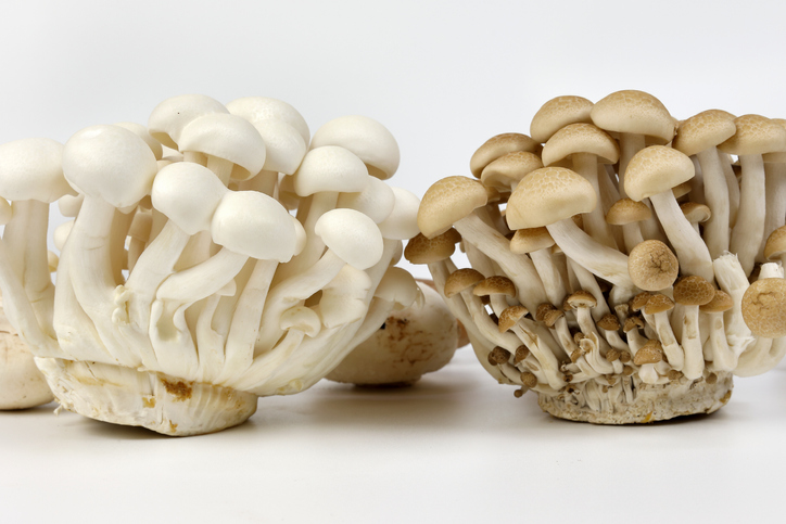 freshpoint-produce-hon-shimeji-mushrooms