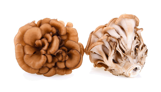 freshpoint-produce-maiitake-mushrooms