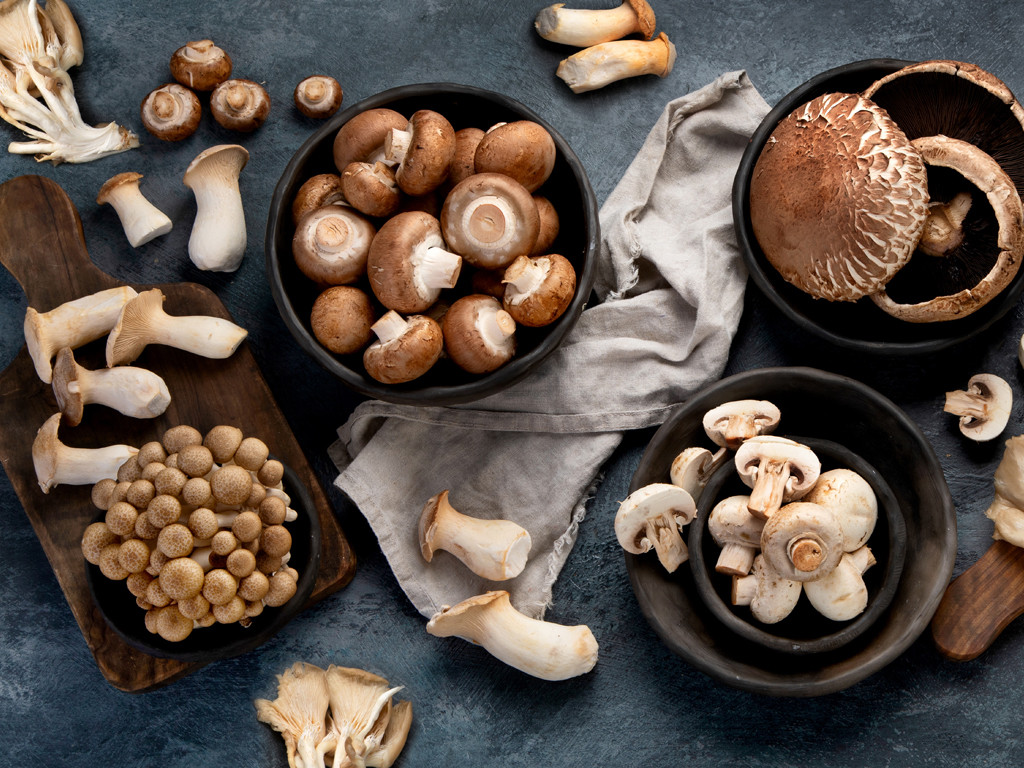 A variety of mushrooms arranged on a gray background, including: oyster, white button, portabella, trumpet, honshemiji, cremini