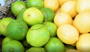 produce 101 citrus limes