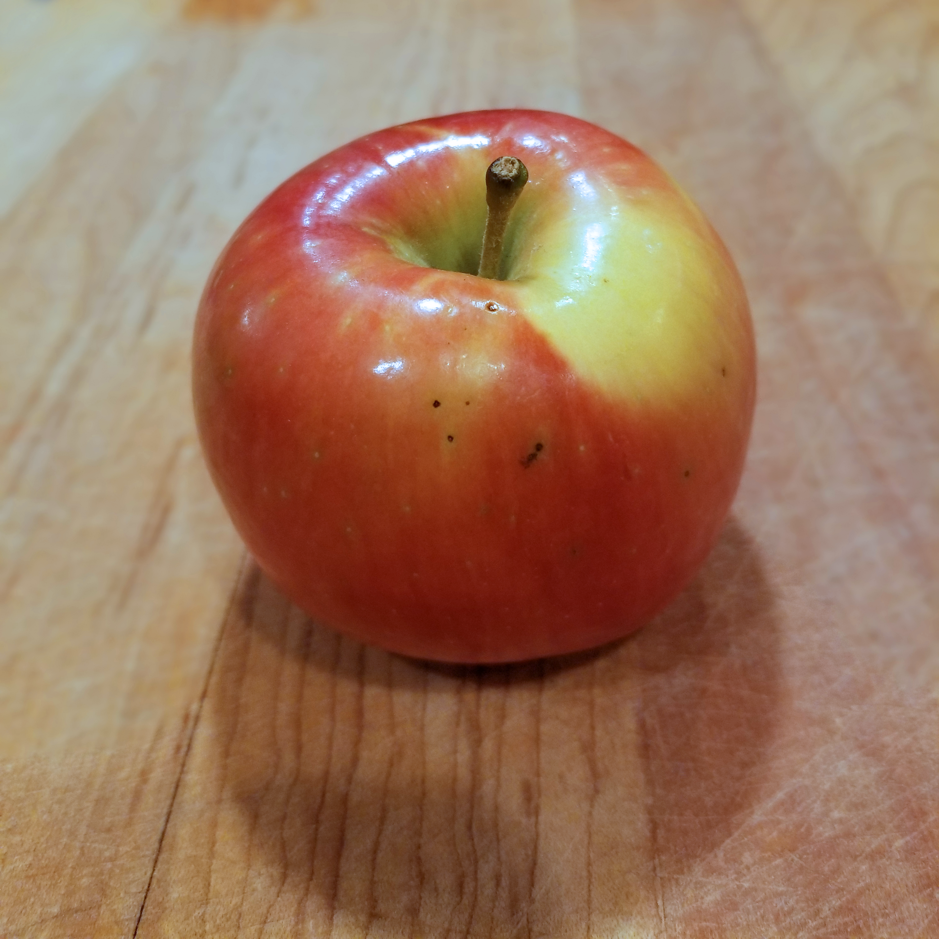 Cosmic Crisp Apples Become Year-Round Variety and Catches Organic Ring with  Stemilt's EZ Band - Perishable News