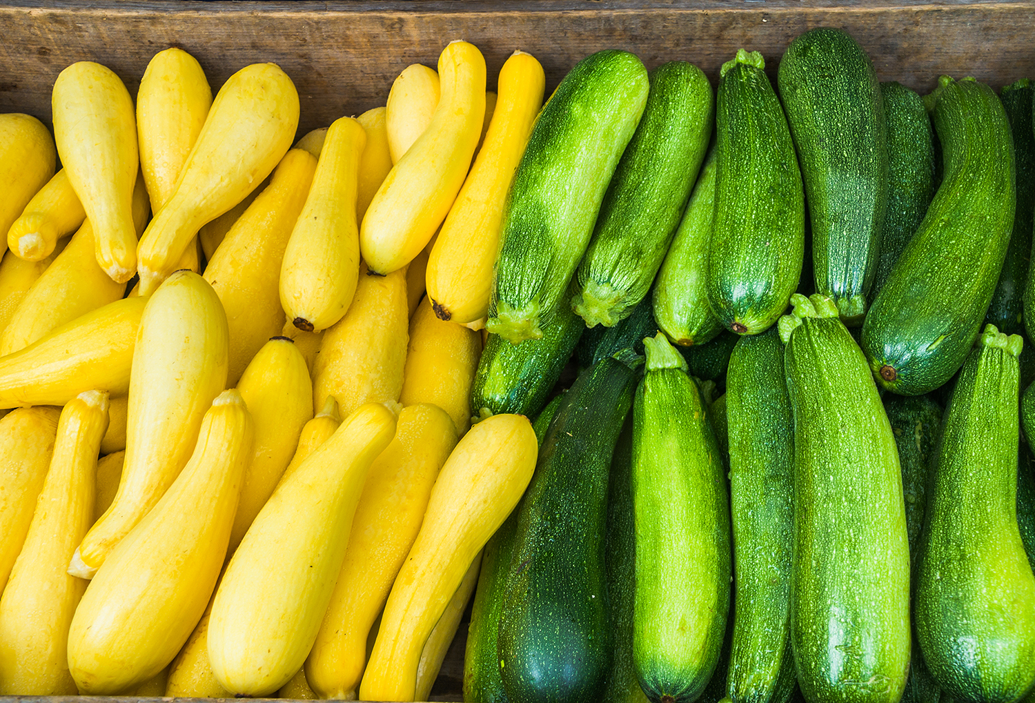 freshpoint produce 101 summer squash zucchini yellow squash