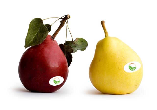 https://www.freshpoint.com/wp-content/uploads/2022/05/bartlett-pears-freshpoint-produce.png