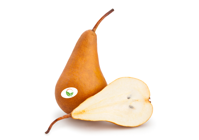 https://www.freshpoint.com/wp-content/uploads/2022/05/bosc-pears-freshpoint-produce.png