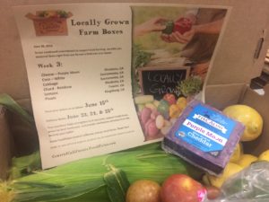 FreshPoint Central California Locally Grown farm box Week 3