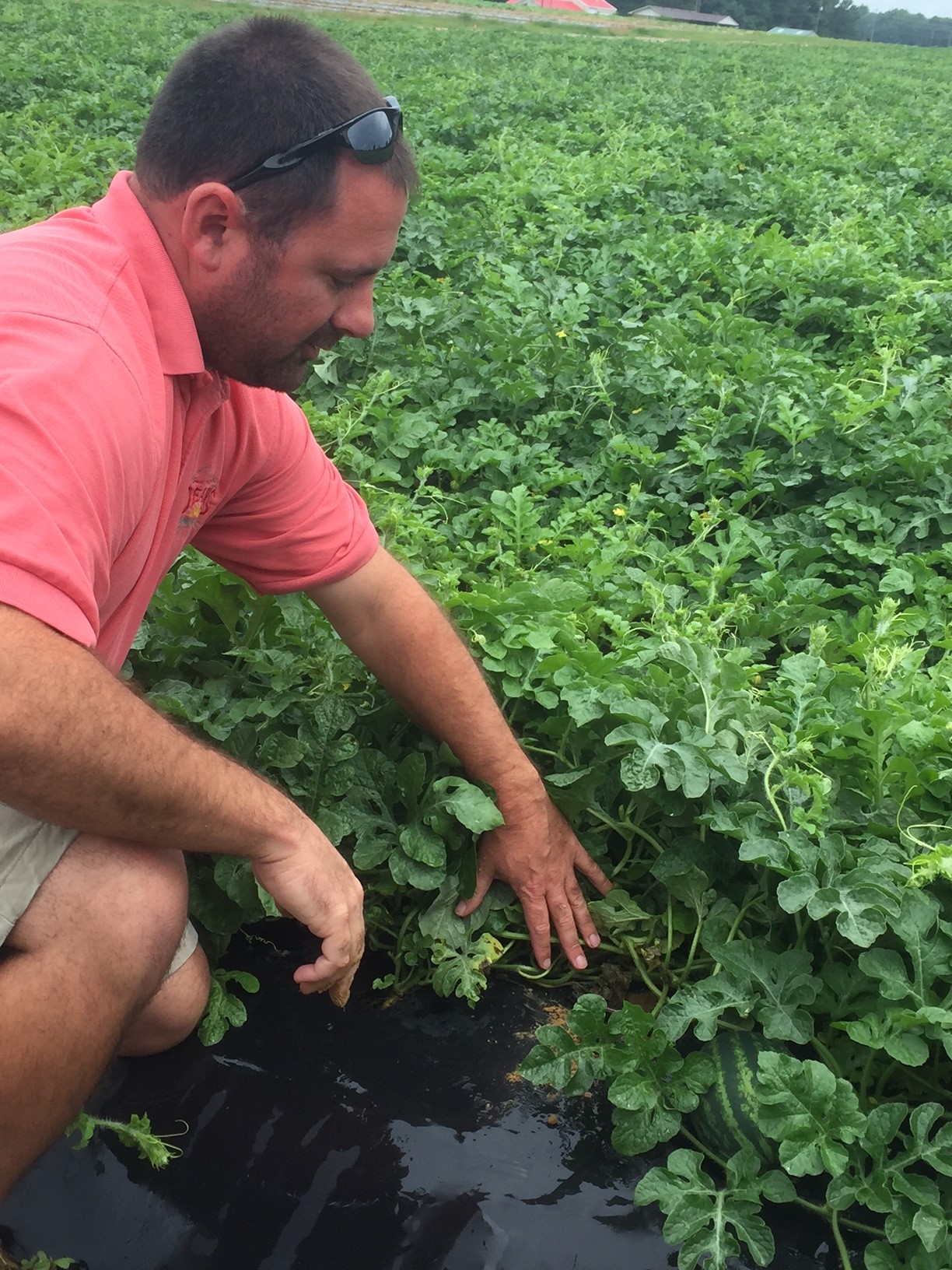 James Sharp, Fresh Pik’s owner, discussing local FreshPoint produce and sustainability 