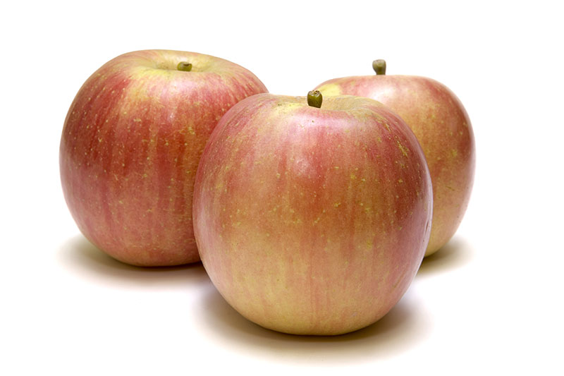 Fuji Apple Review - Apple Rankings by The Appleist Brian Frange