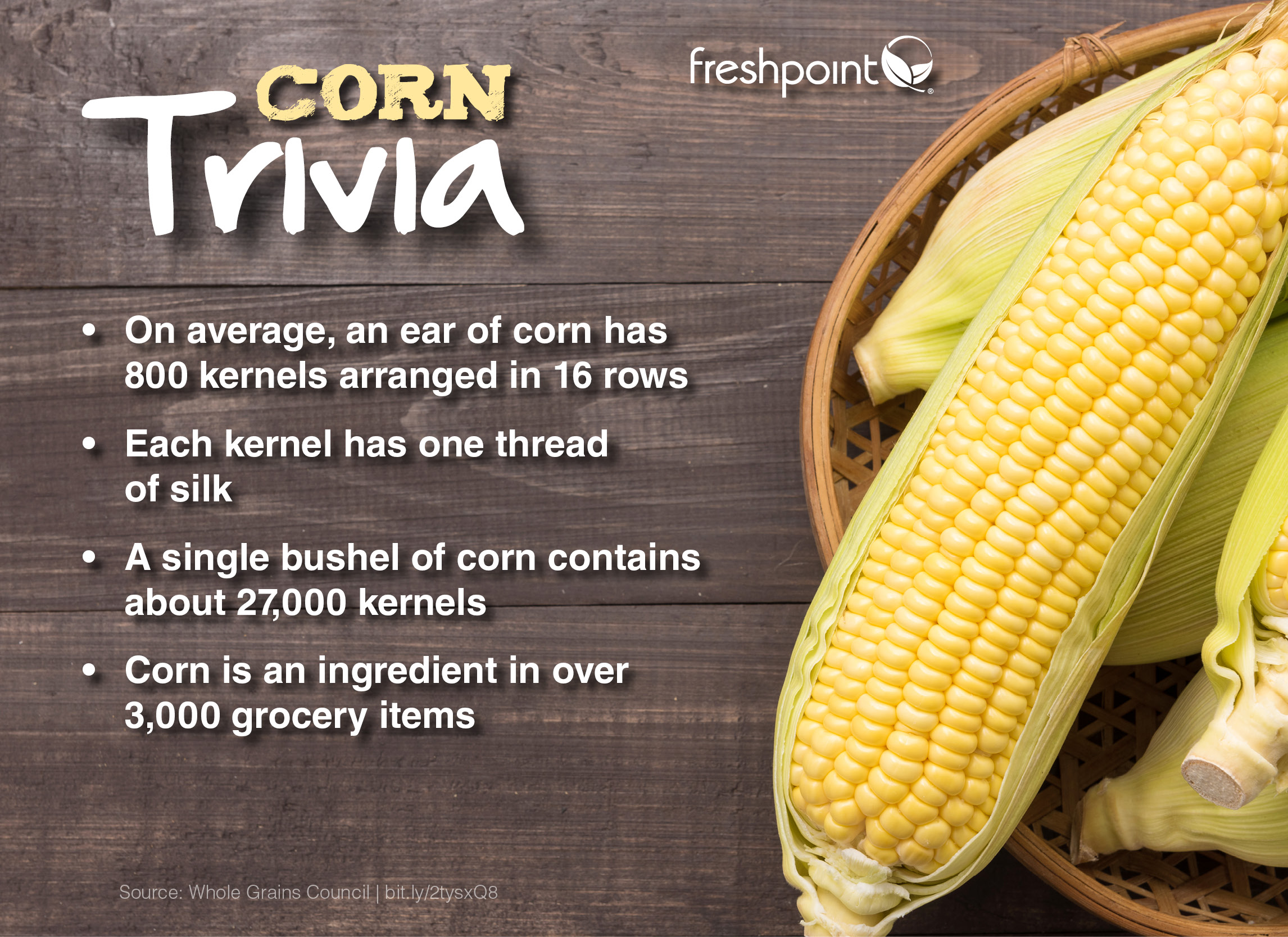 Fun Facts About Corn Harvest