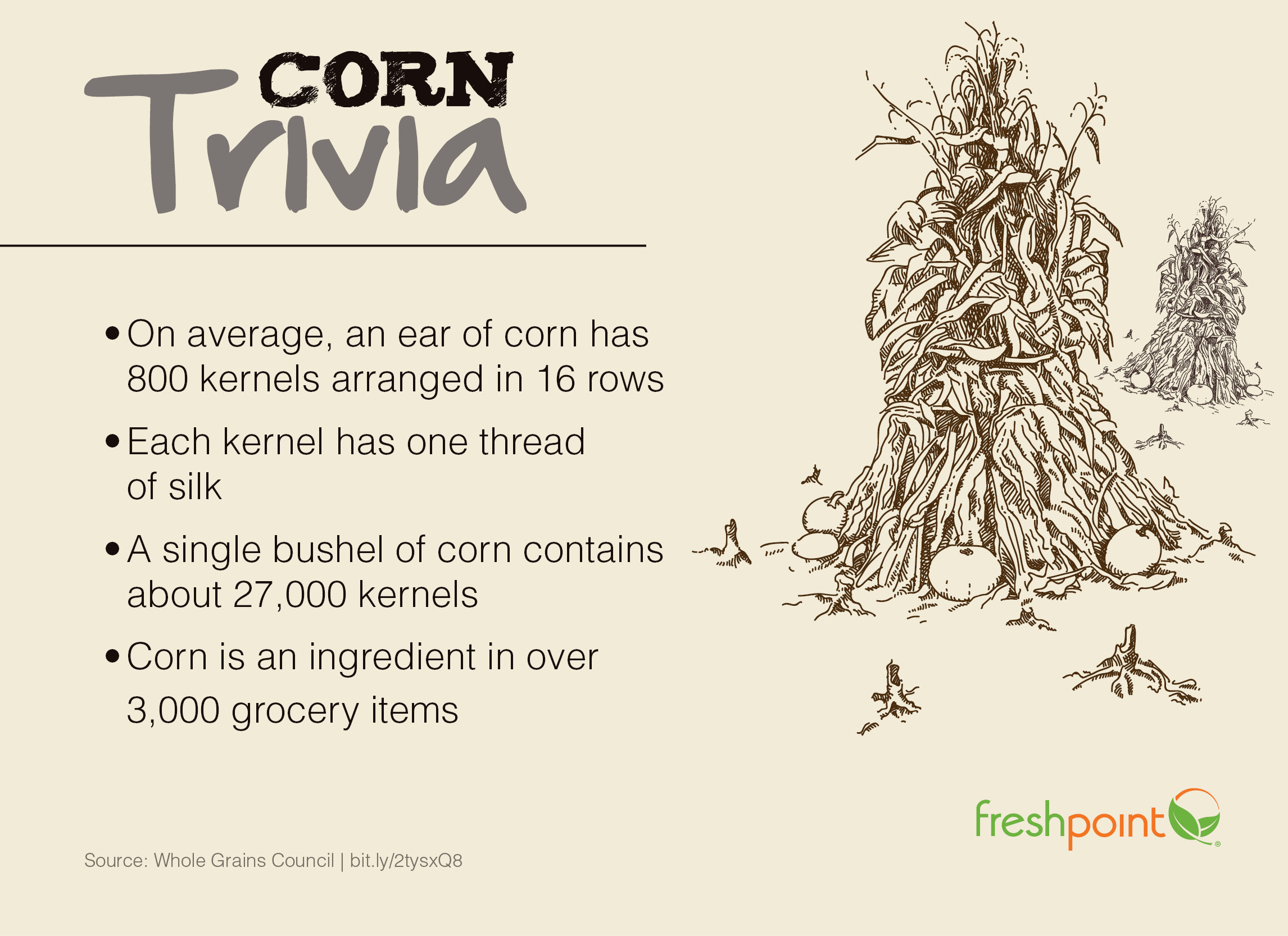 corn-trivia-freshpoint-produce-1