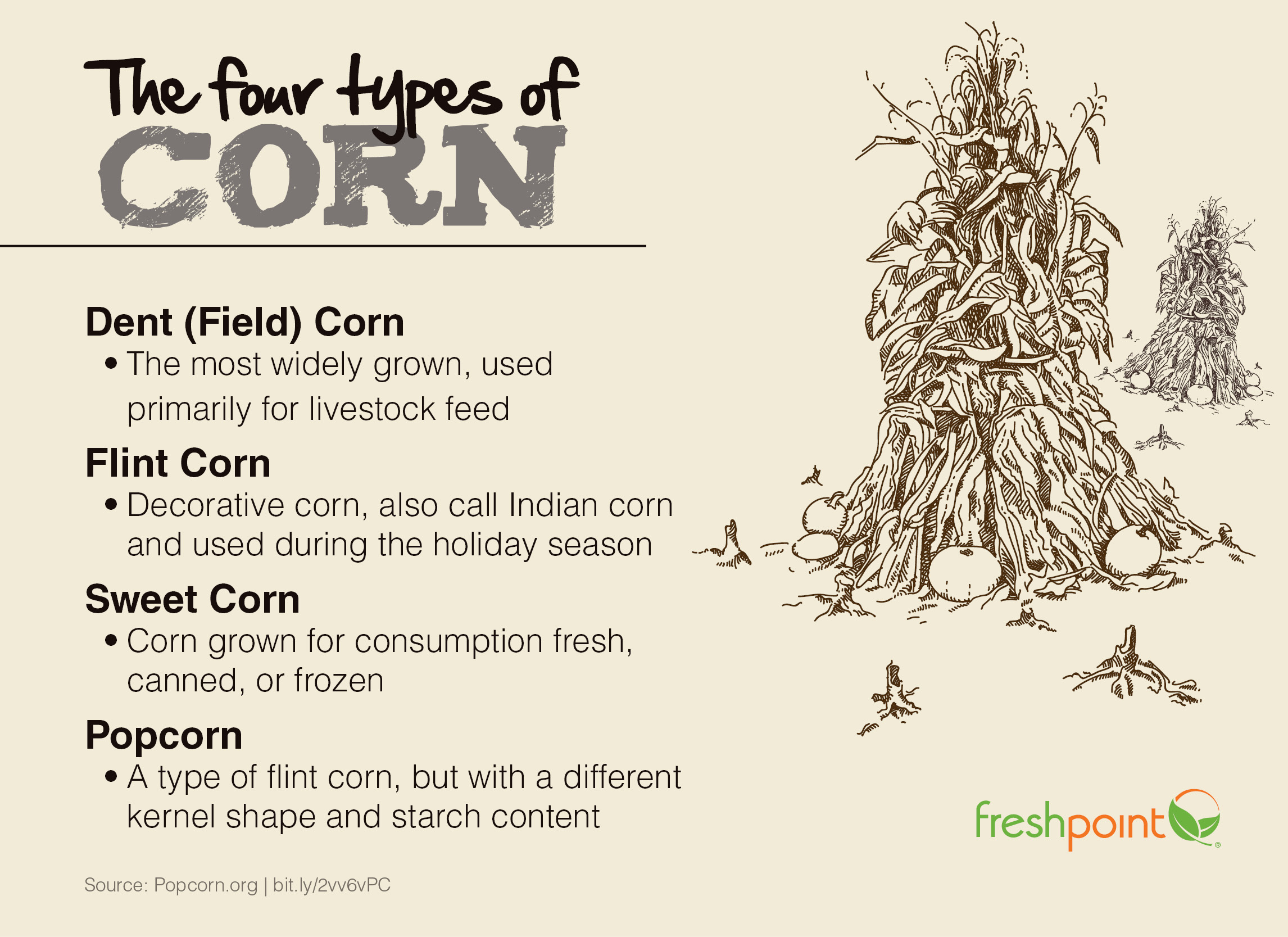 corn-types-freshpoint-produce