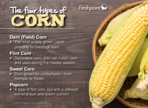 corn types freshpoint produce