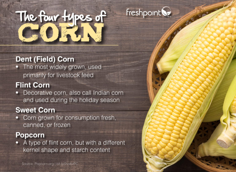 FreshPoint Corn Types Freshpoint Produce   Corn Types Freshpoint Produce 768x559 