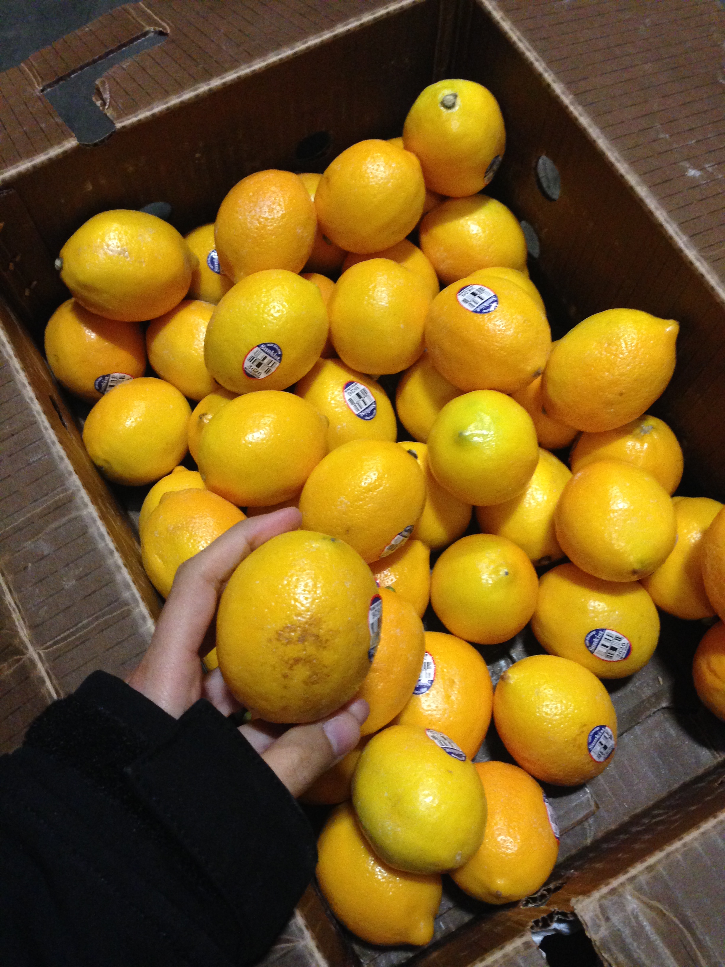 meyer-lemon-freshpoint-raleigh-produce-waste-ubu